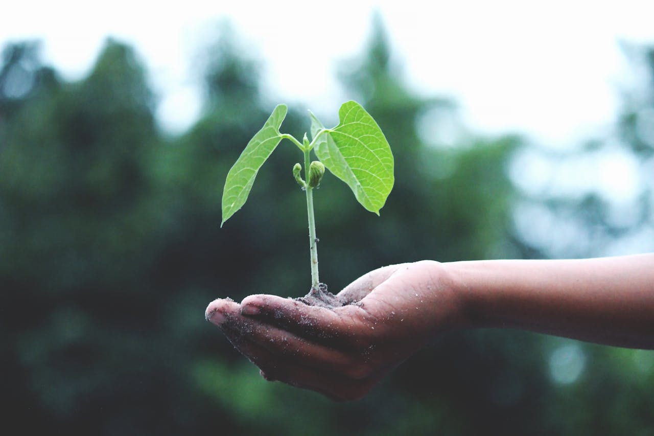 How AI Can Help Us Build a Sustainable Future